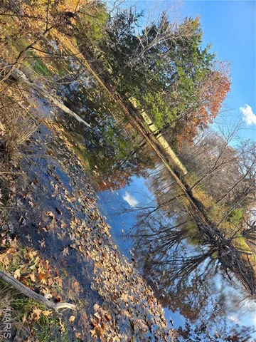 $225,500 | 1978 Old Highway 60, Birch Tree, MO 65438