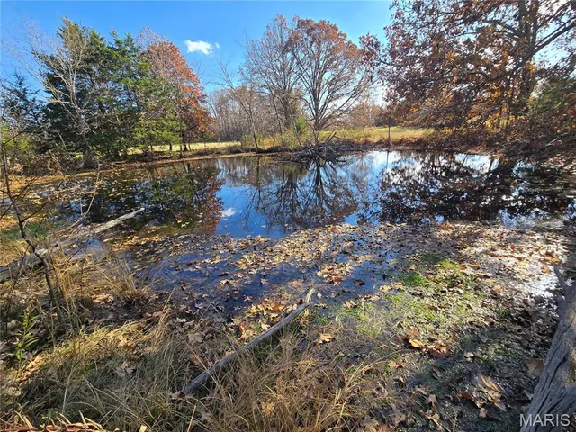 $225,500 | 1978 Old Highway 60, Birch Tree, MO 65438