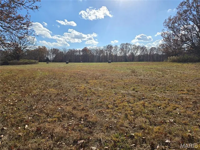 $225,500 | 1978 Old Highway 60, Birch Tree, MO 65438