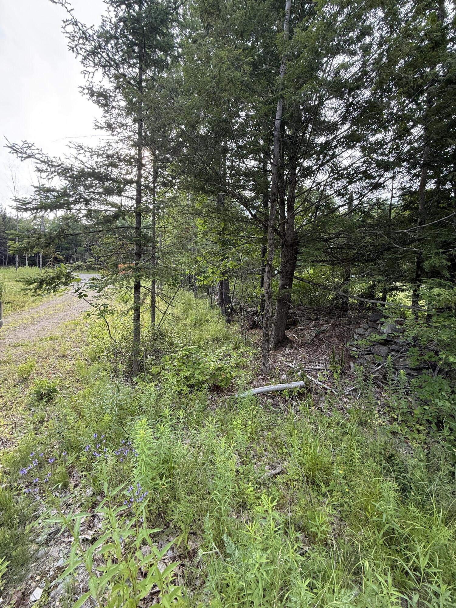 498 Morrill Road Winslow, ME 04901 - Photo 5 of 27