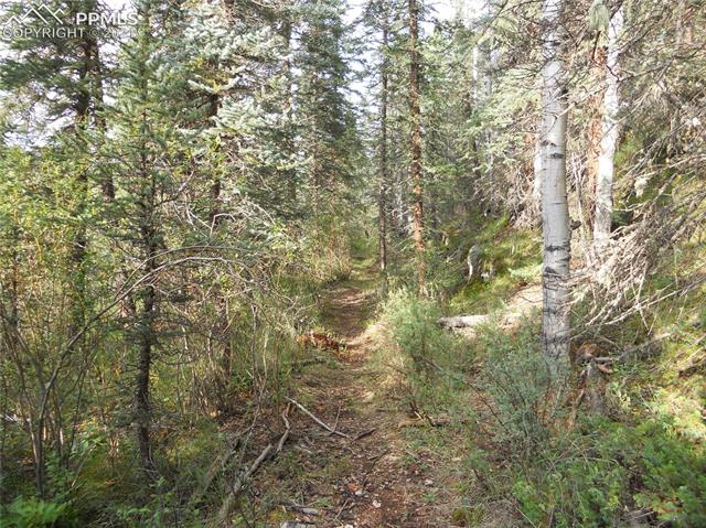 2130 Pathfinder Road Florissant, CO 80816 - Photo 27 of 32 Gallery Image 27