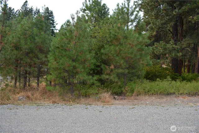 a view of a dirt road with trees in the background