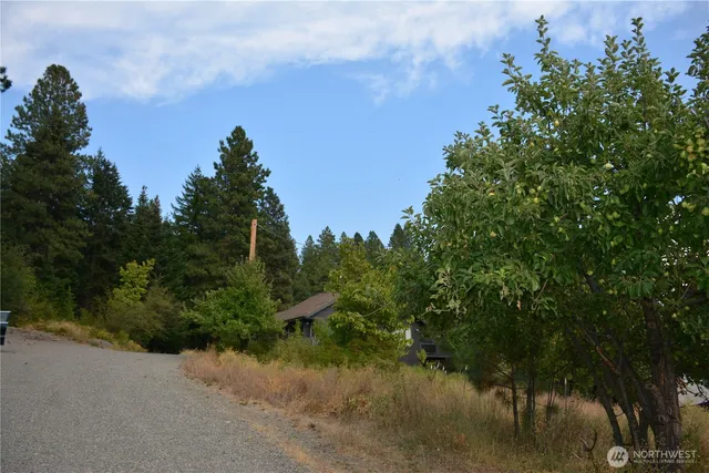 a view of a lake with plants and trees all around