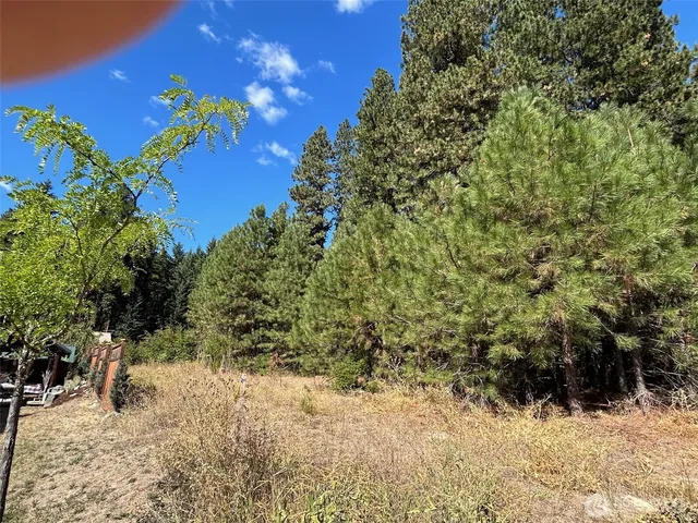 a view of a yard with a tree