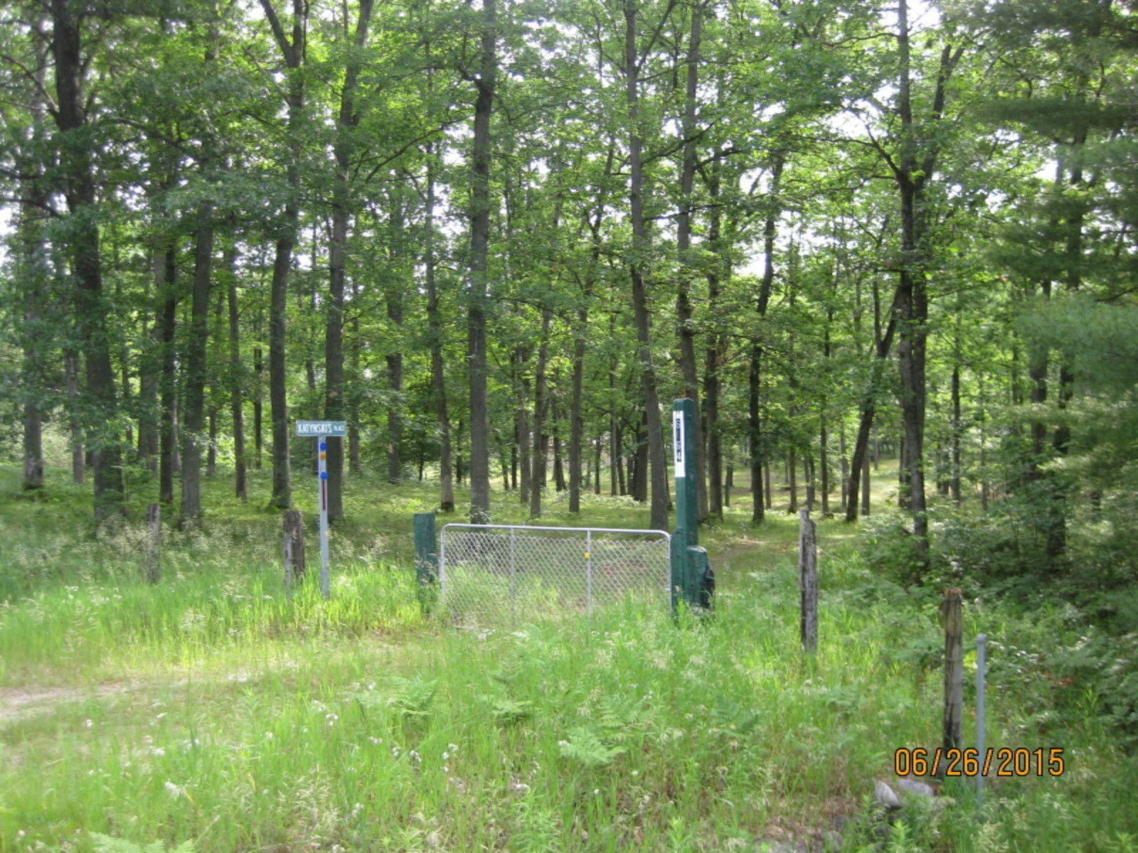 6164 South Frank Smith Road Chase, MI 49623 - Photo 1 of 20 IMG_1401