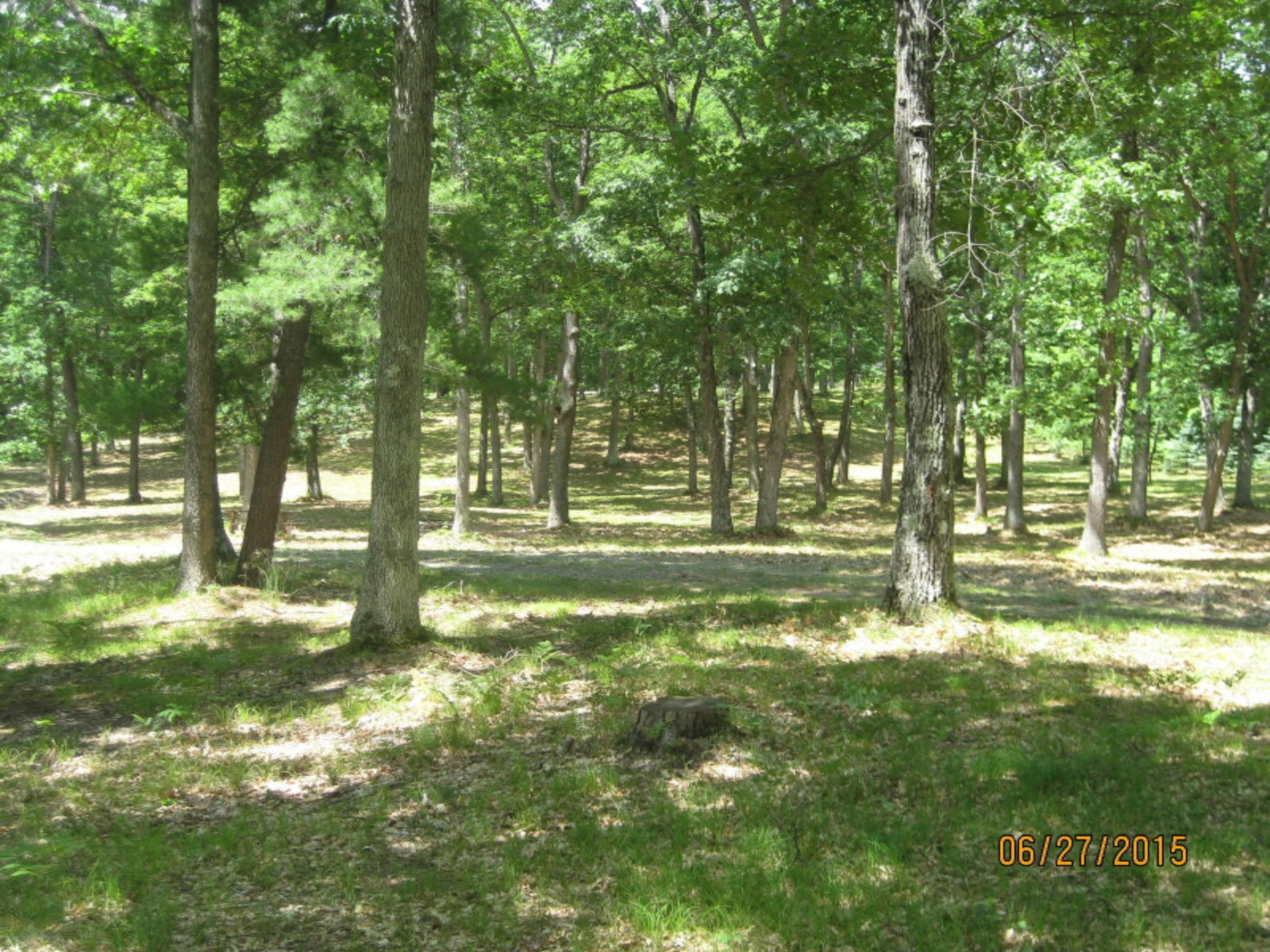 6164 South Frank Smith Road Chase, MI 49623 - Photo 15 of 20 IMG_1414