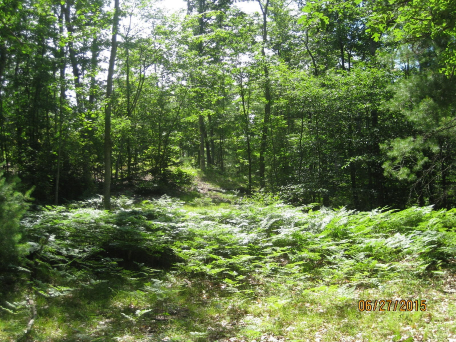 6164 South Frank Smith Road Chase, MI 49623 - Photo 16 of 20 IMG_1415