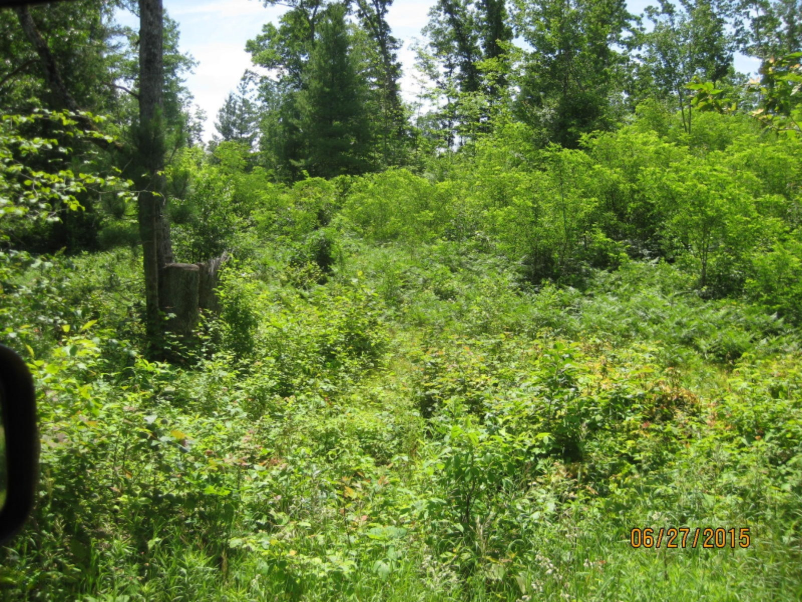 6164 South Frank Smith Road Chase, MI 49623 - Photo 17 of 20 IMG_1424