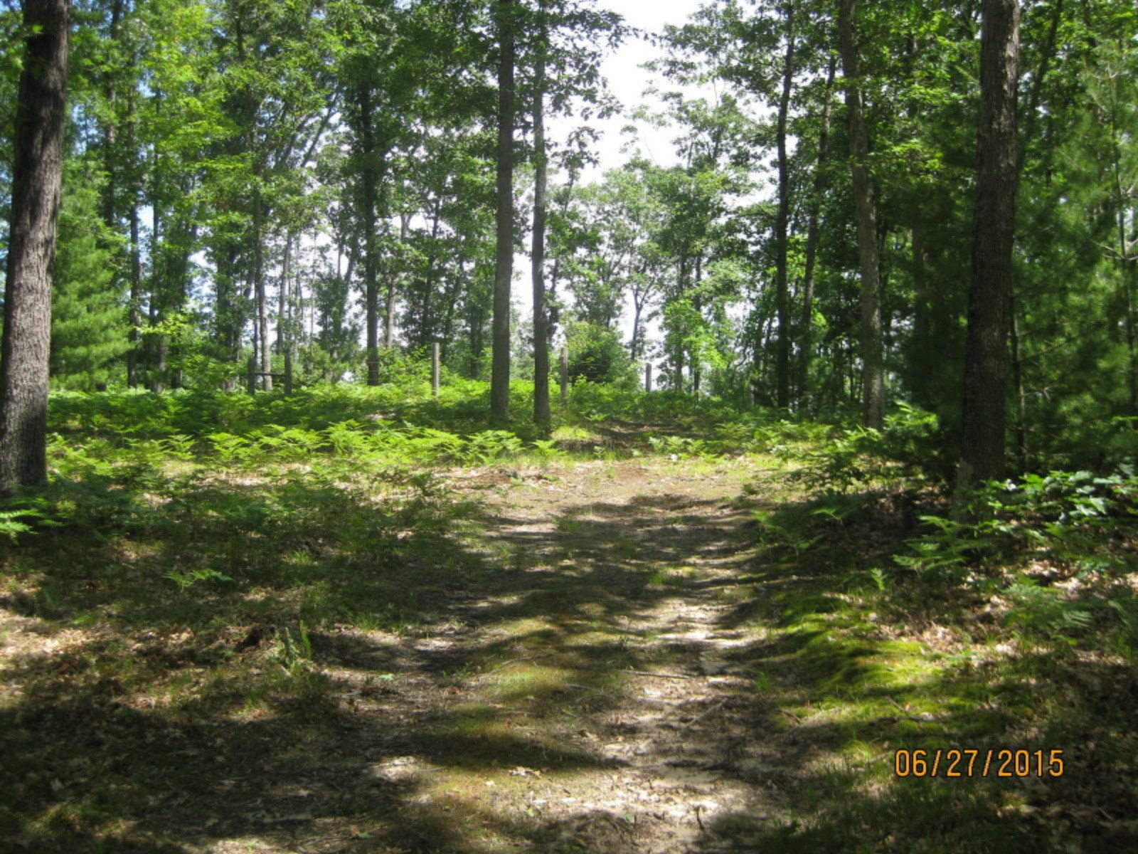 6164 South Frank Smith Road Chase, MI 49623 - Photo 9 of 20 IMG_1408