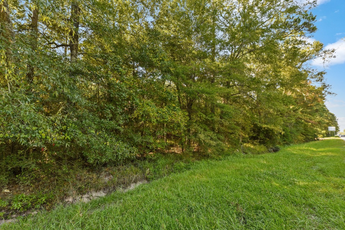 29819 Huffman Cleveland Road Huffman, TX 77336 - Photo 1 of 3 a view of a big yard with plants and large trees