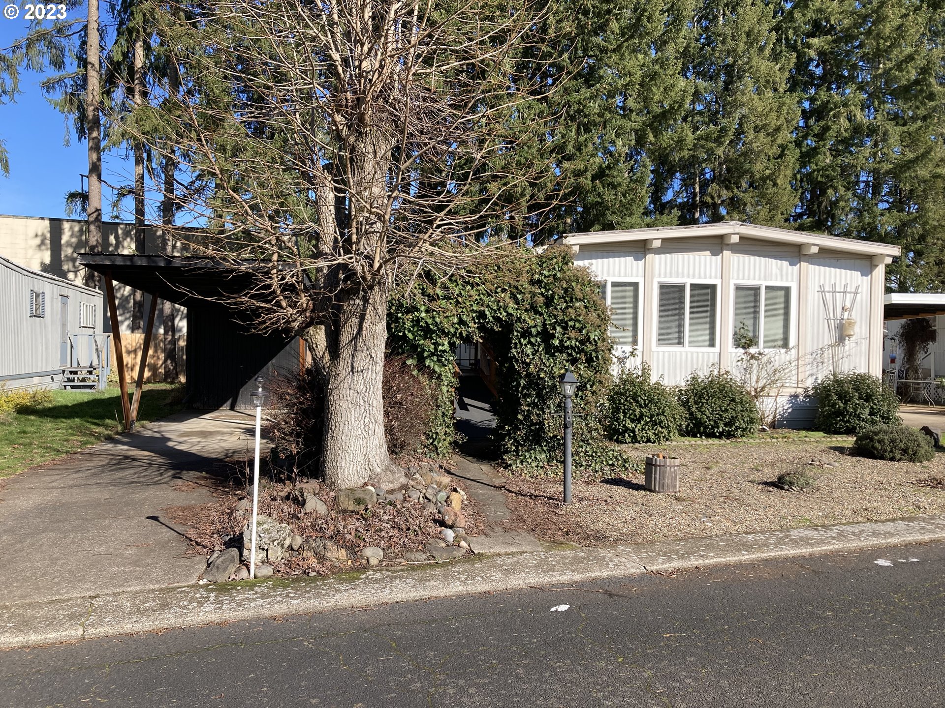 205 South 54th Street, Unit 7 Springfield, OR 97478 - Photo 2 of 32 a front view of a house with a yard