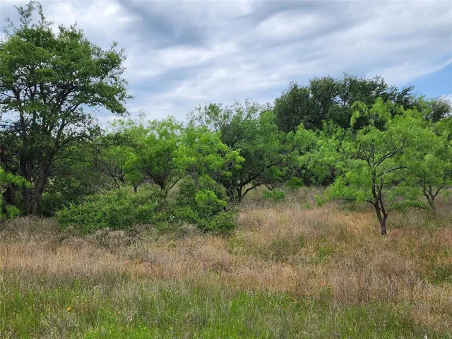 $217,548 | 125 County Road 125, Cisco, TX 76437