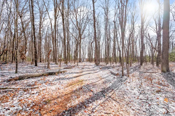 $85,000 | V/l North Hunters Way, White Cloud, MI 49349