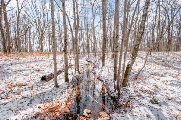 $85,000 | V/l North Hunters Way, White Cloud, MI 49349