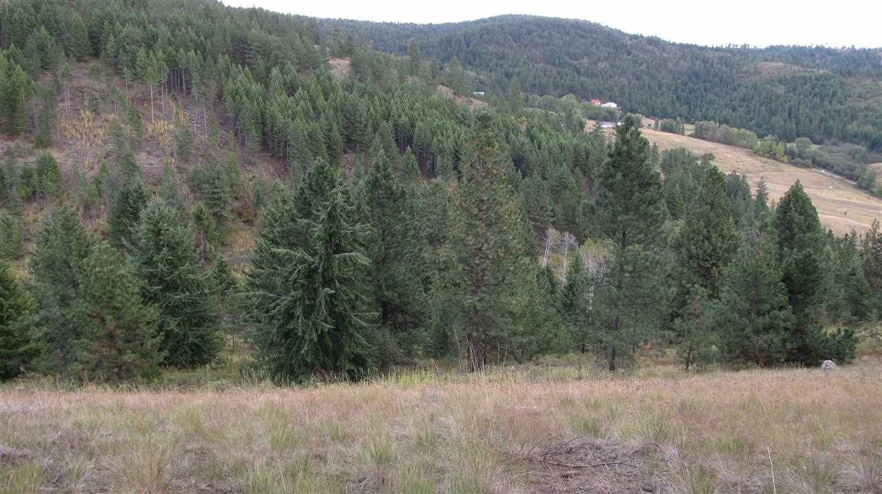 2967-xx Marx Road Rice, WA 99167 - Photo 3 of 10