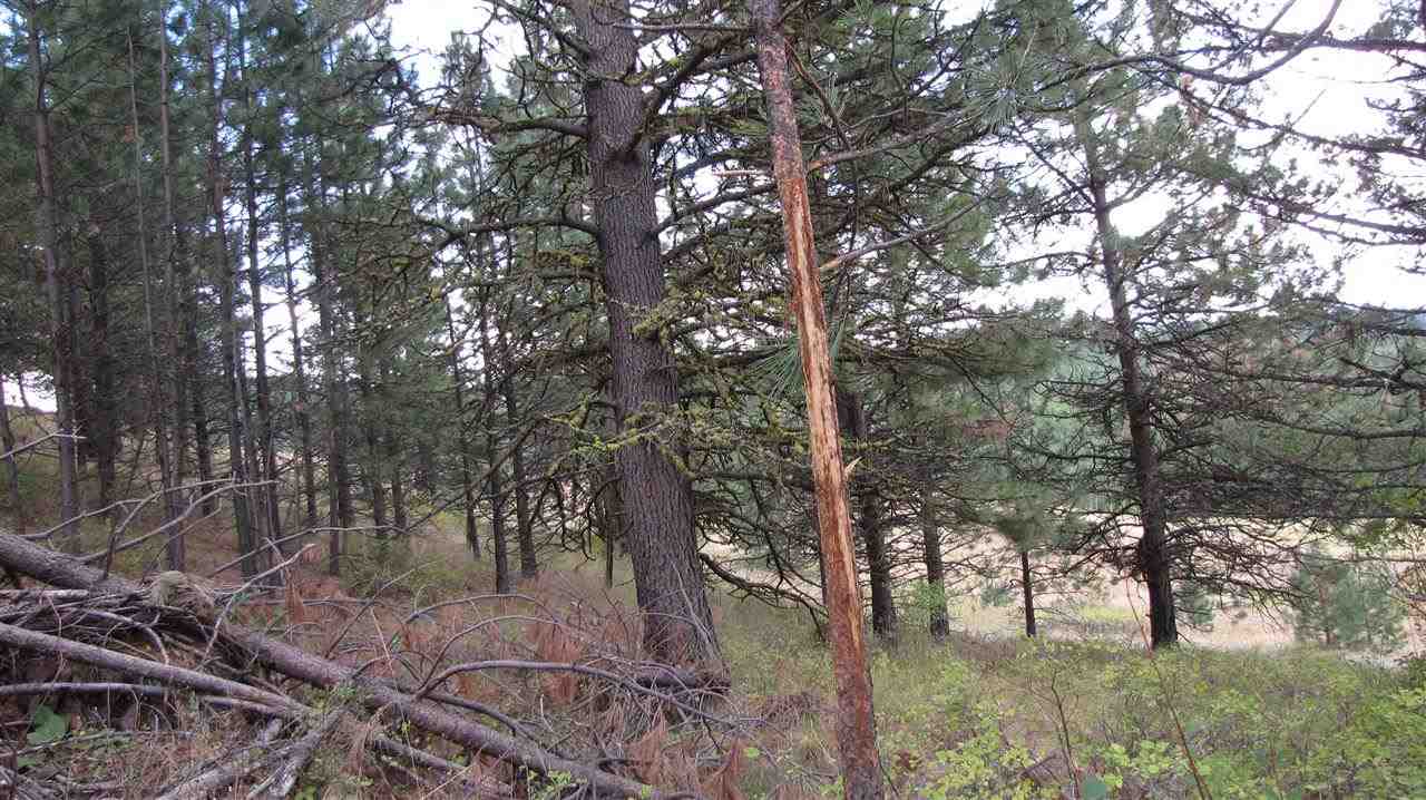 2967-xx Marx Road Rice, WA 99167 - Photo 5 of 10