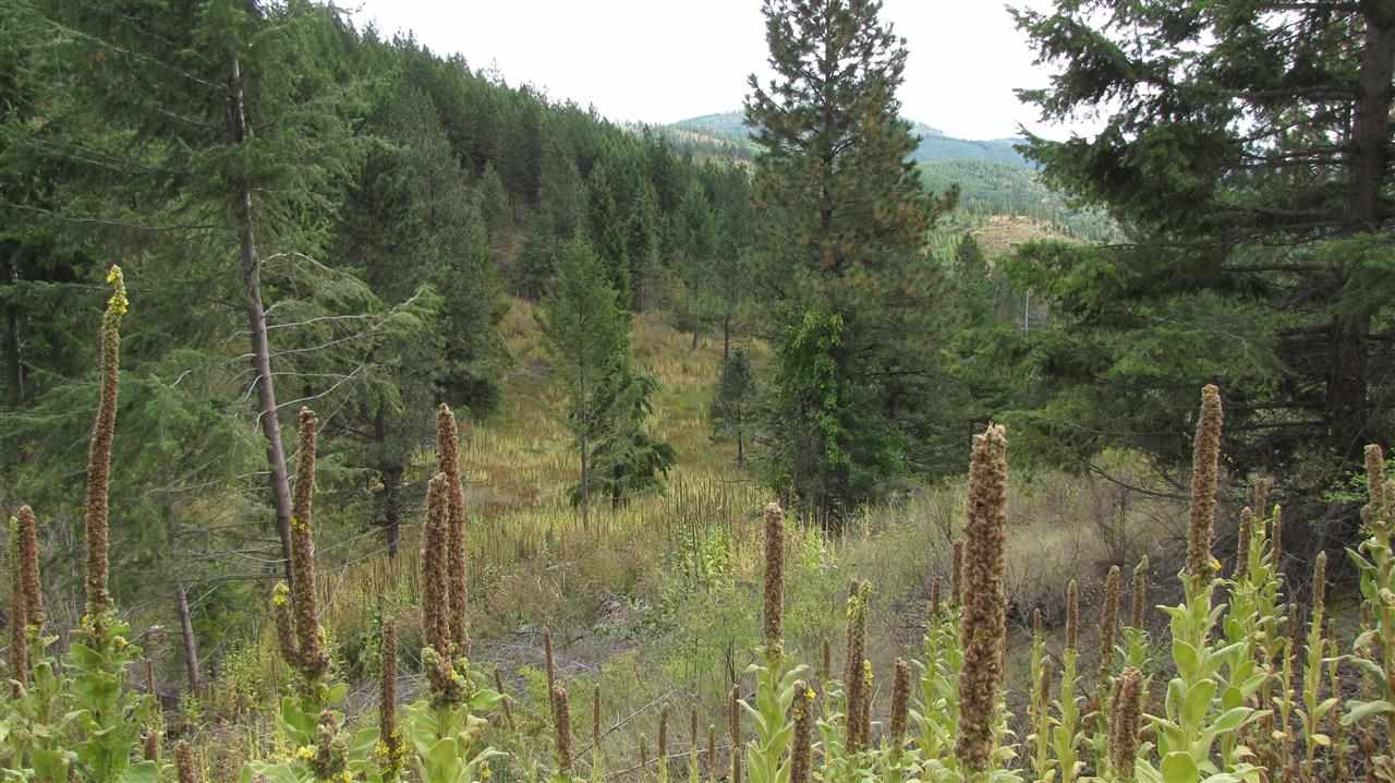 2967-xx Marx Road Rice, WA 99167 - Photo 7 of 10