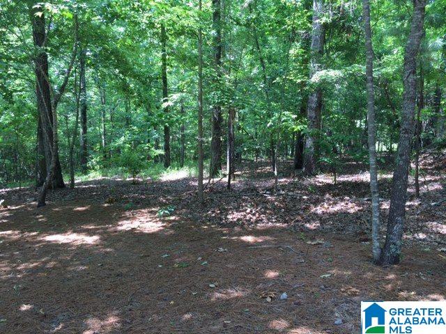 8068 Castlehill Road Birmingham, AL 35242 - Photo 1 of 5
