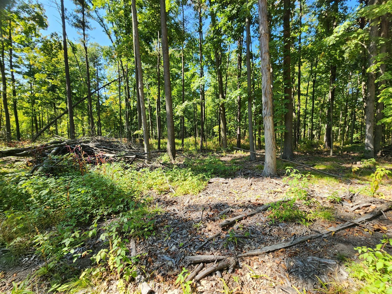 Lot F North Behler Road Bailey, MI 49303 - Photo 15 of 20
