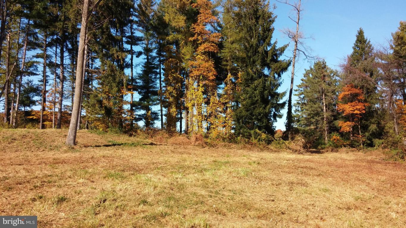 0 Lake Road Spring Grove, PA 17362 - Photo 1 of 9