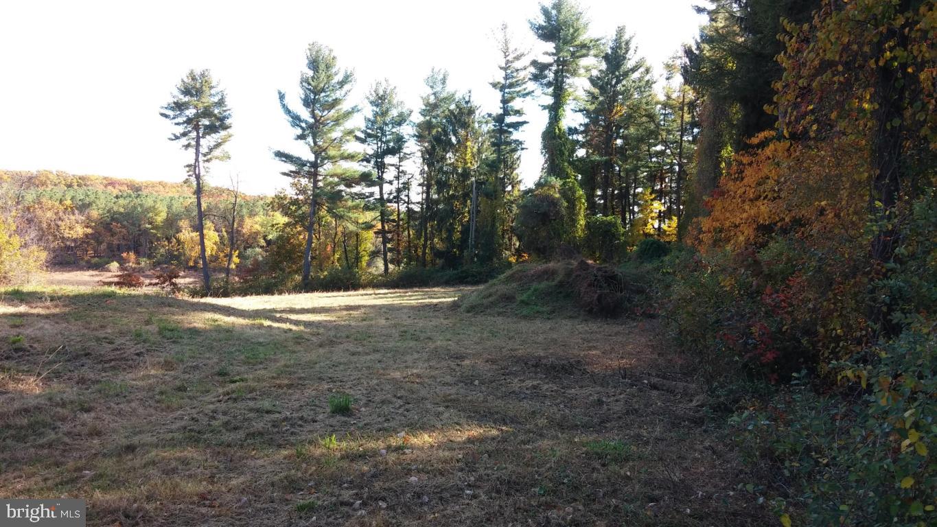 0 Lake Road Spring Grove, PA 17362 - Photo 5 of 9