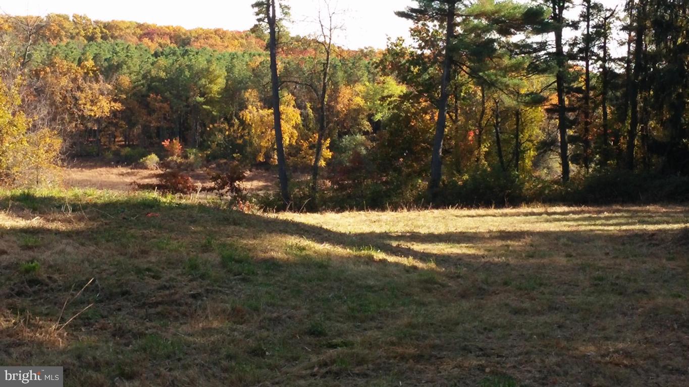0 Lake Road Spring Grove, PA 17362 - Photo 6 of 9