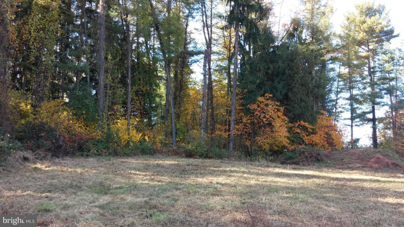 0 Lake Road Spring Grove, PA 17362 - Photo 7 of 9