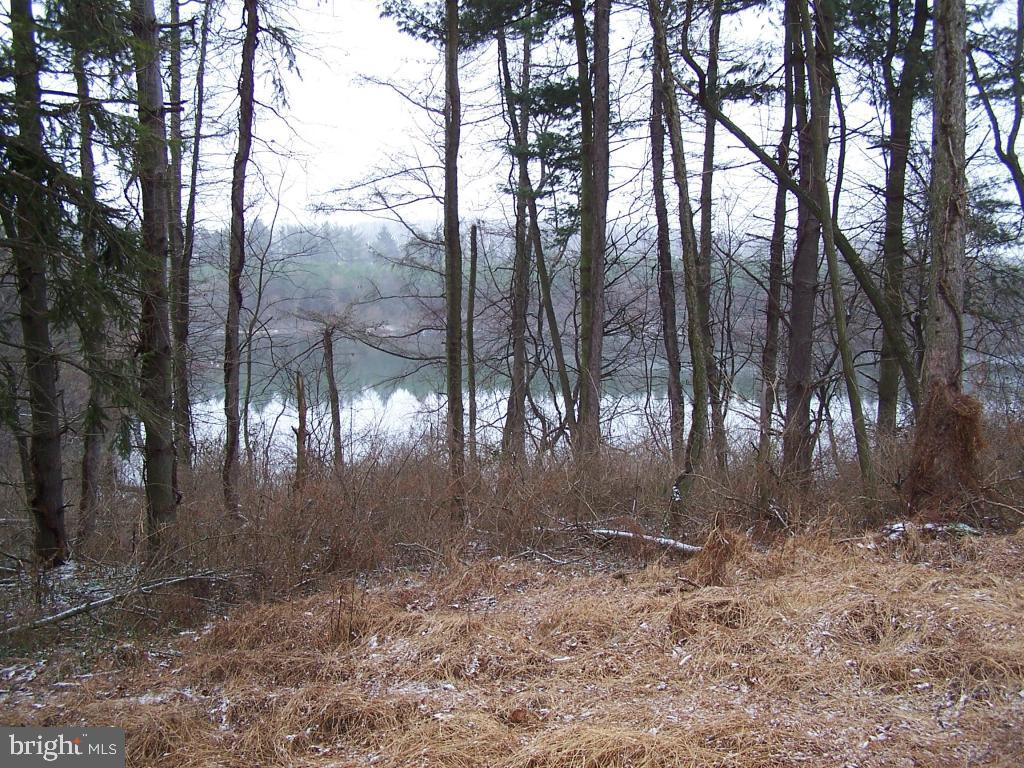 0 Lake Road Spring Grove, PA 17362 - Photo 8 of 9