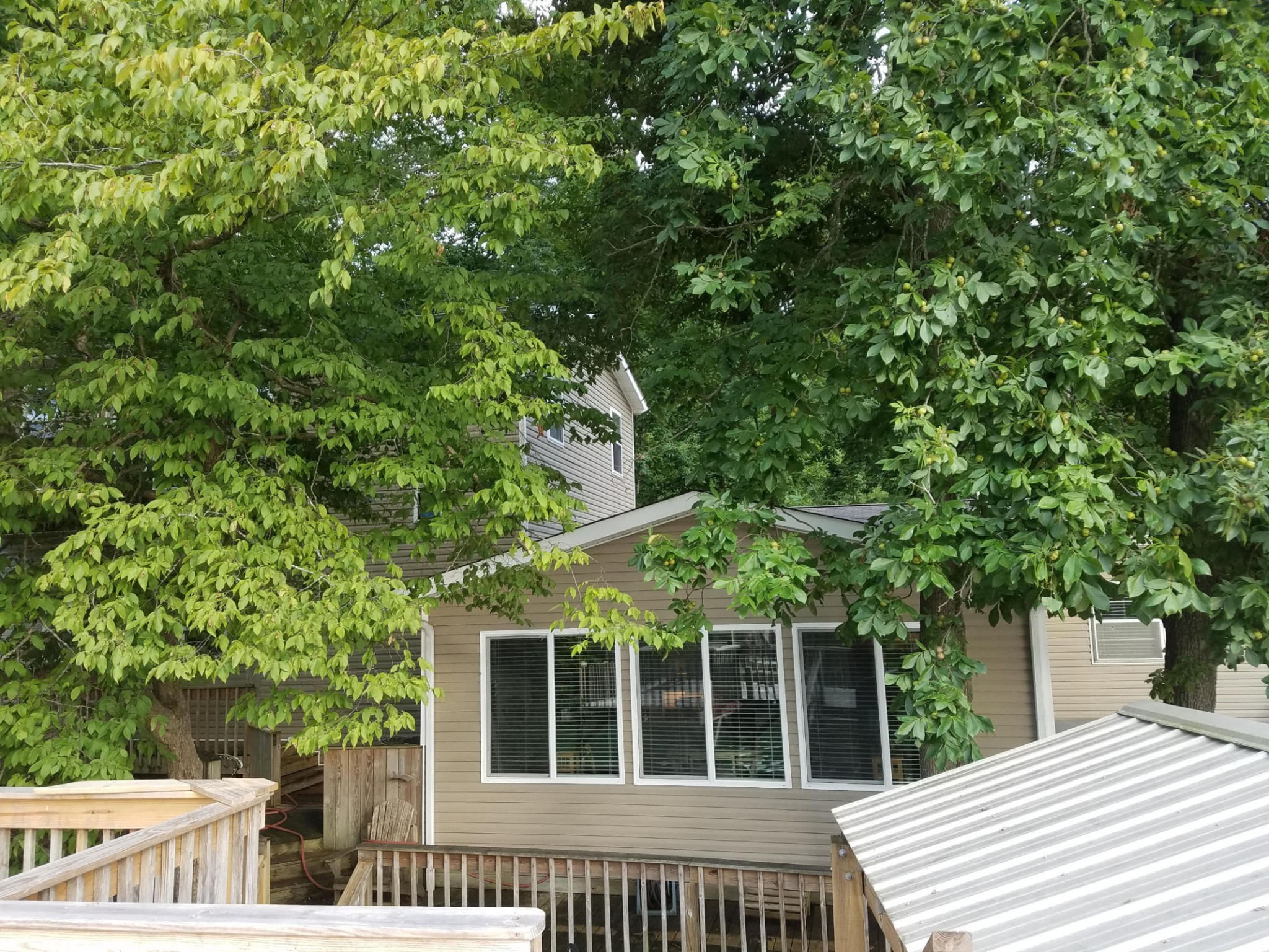 4973 Riversedge Road Louisville, TN 37777 - Photo 26 of 33 Gallery Image 26