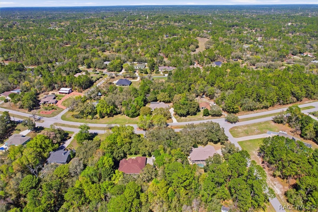 2399 West Pine Ridge Boulevard Beverly Hills, FL 34465 - Photo 41 of 46