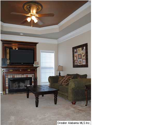655 South Hillcrest Road Odenville, AL 35120 - Photo 7 of 26