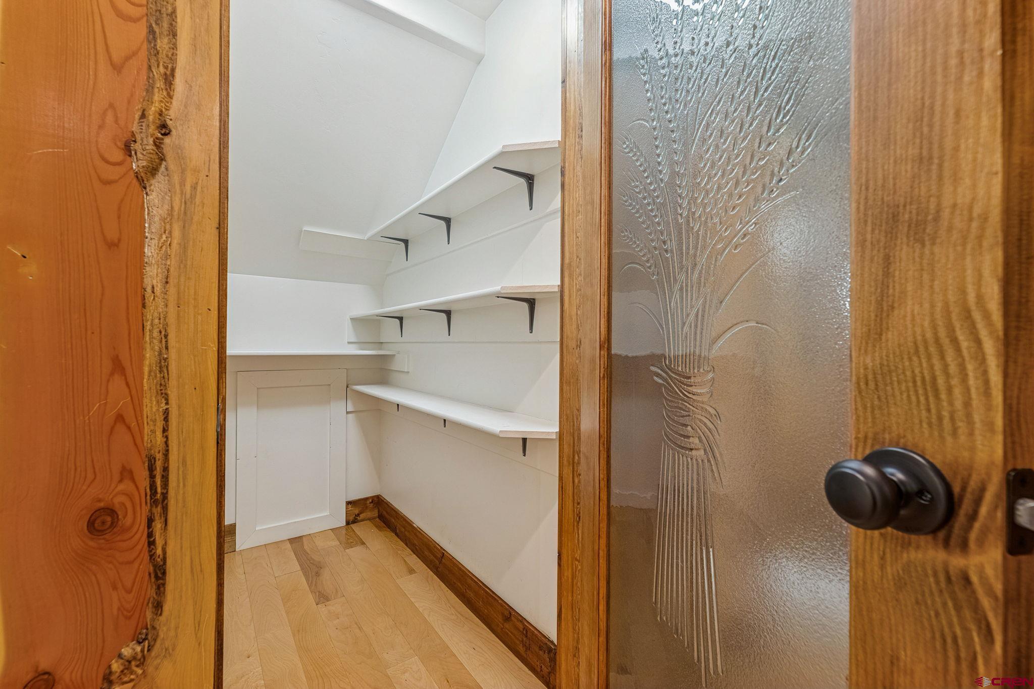 157 Window Lake Trail Durango, CO 81301 - Photo 13 of 39 a view of walk in closet