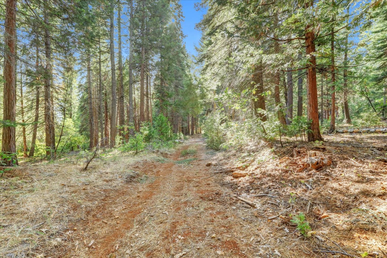 12683 Spider Hill Road Nevada City, CA 95959 - Photo 11 of 37