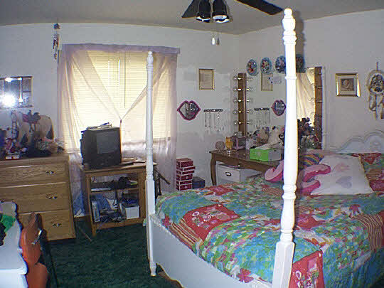9110 East Weber Road Ridott, IL 61067 - Photo 6 of 12 a bed room with a bed and a window
