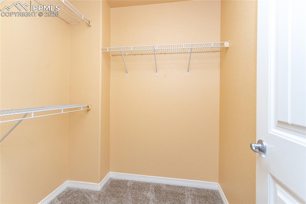 7160 Red Cardinal Loop Colorado Springs, CO 80908 - Photo 18 of 49