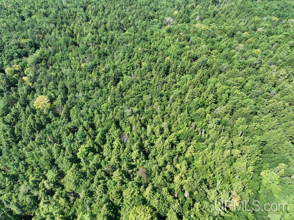 0 Peter White Road Au Train, MI 49806 - Photo 5 of 12