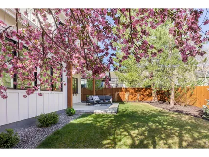 a view of a yard in front of house