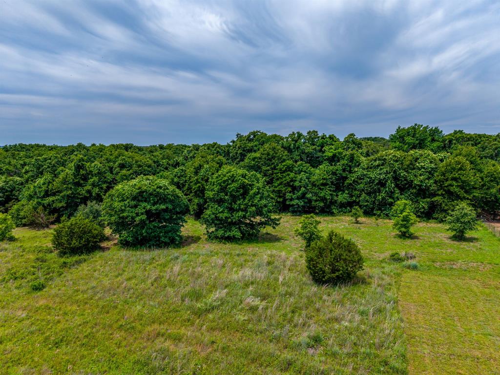 350 Red Top Road Poolville, TX 76487 - Photo 4 of 40