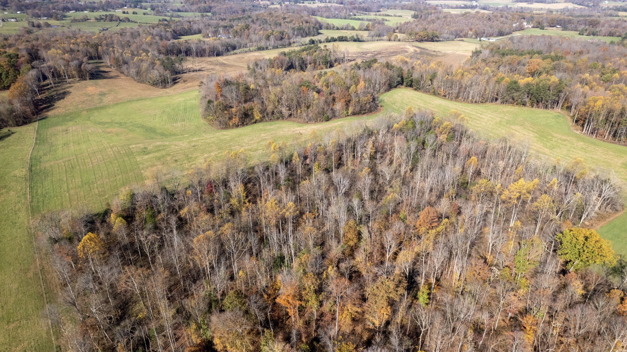 1173 Brady Road Moss, TN 38575 - Photo 8 of 35