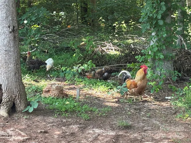 a backyard of a house with lots of green space