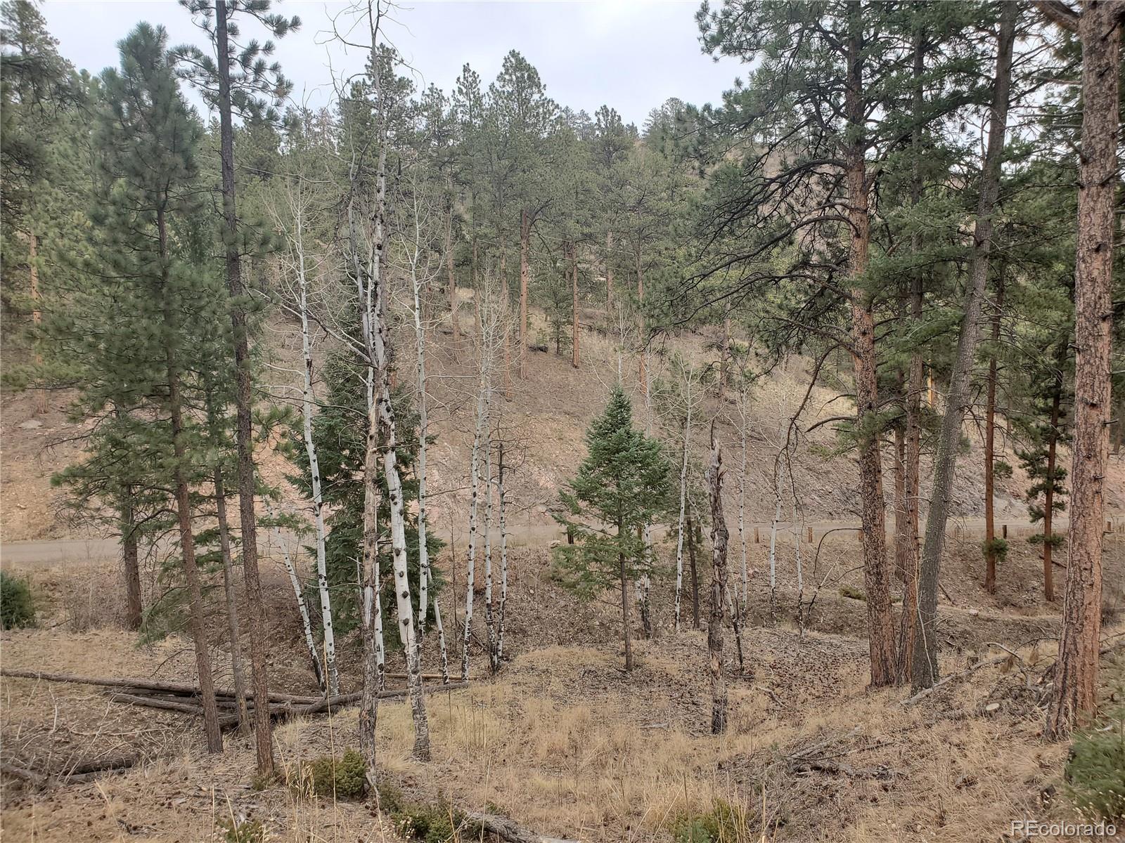 6 Turret Peak Road Pine, CO 80470 - Photo 11 of 15