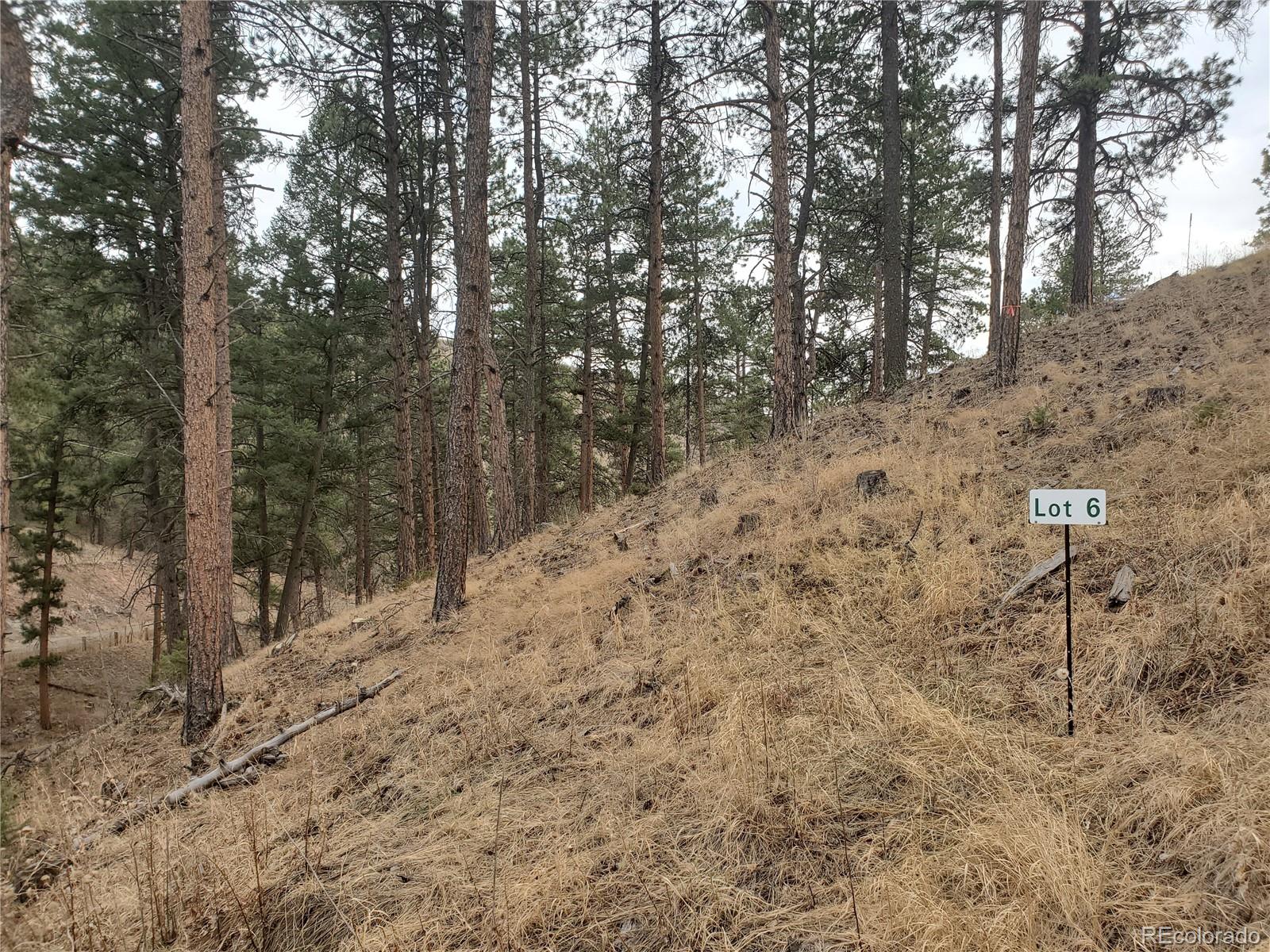 6 Turret Peak Road Pine, CO 80470 - Photo 12 of 15