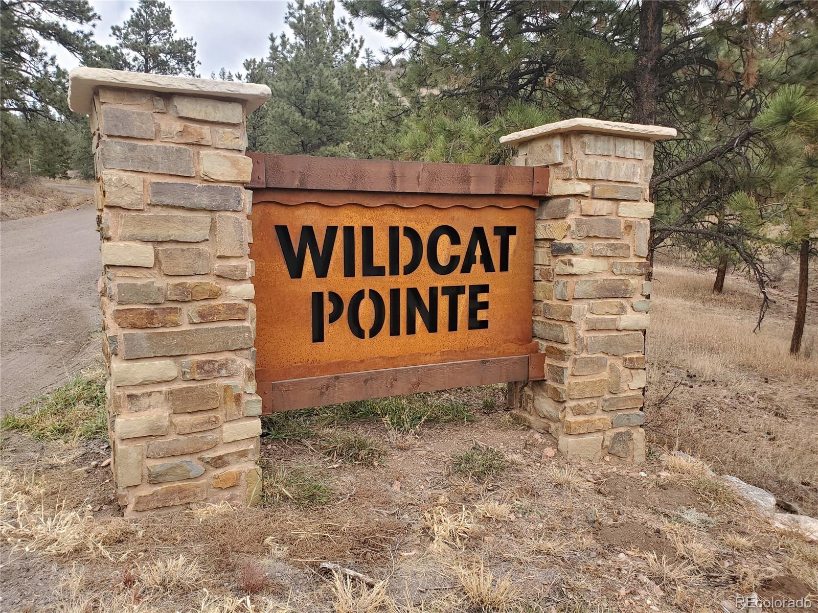 6 Turret Peak Road Pine, CO 80470 - Photo 14 of 15