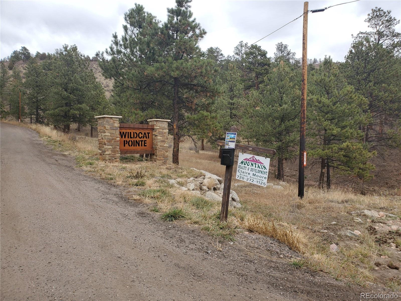 6 Turret Peak Road Pine, CO 80470 - Photo 15 of 15