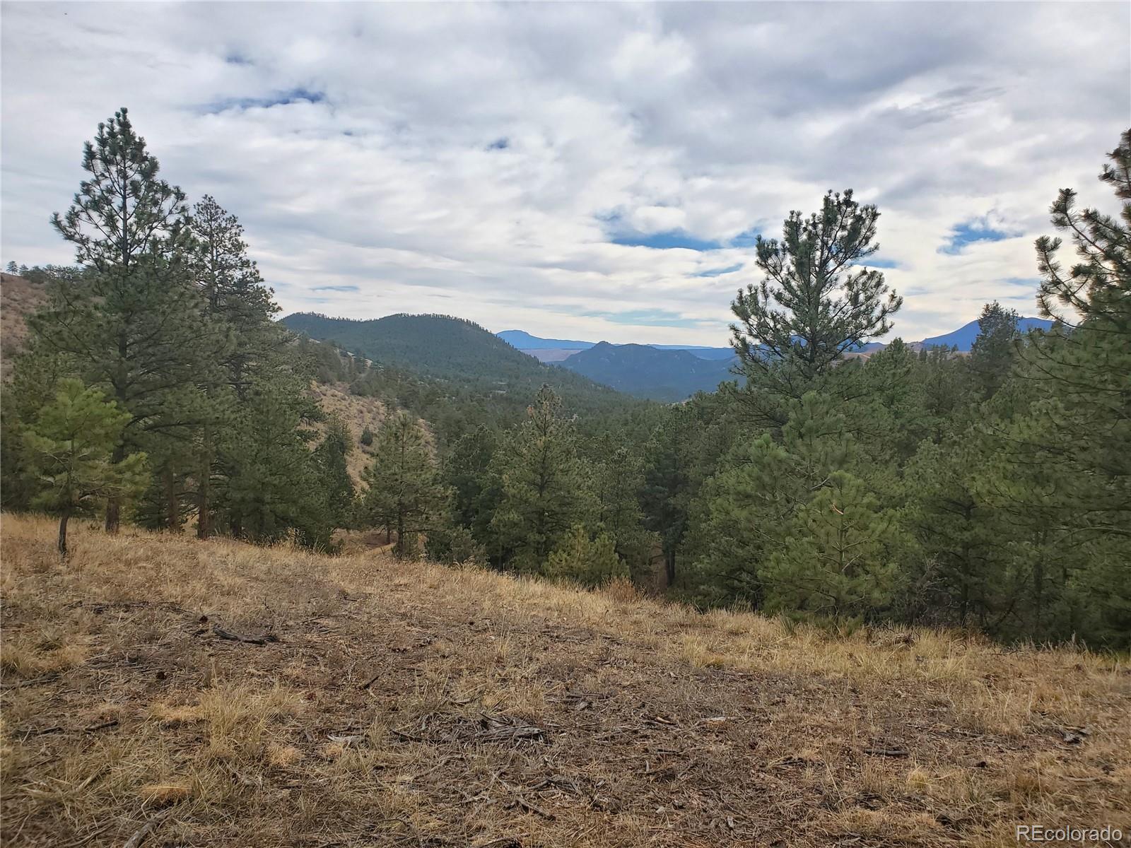 6 Turret Peak Road Pine, CO 80470 - Photo 3 of 15