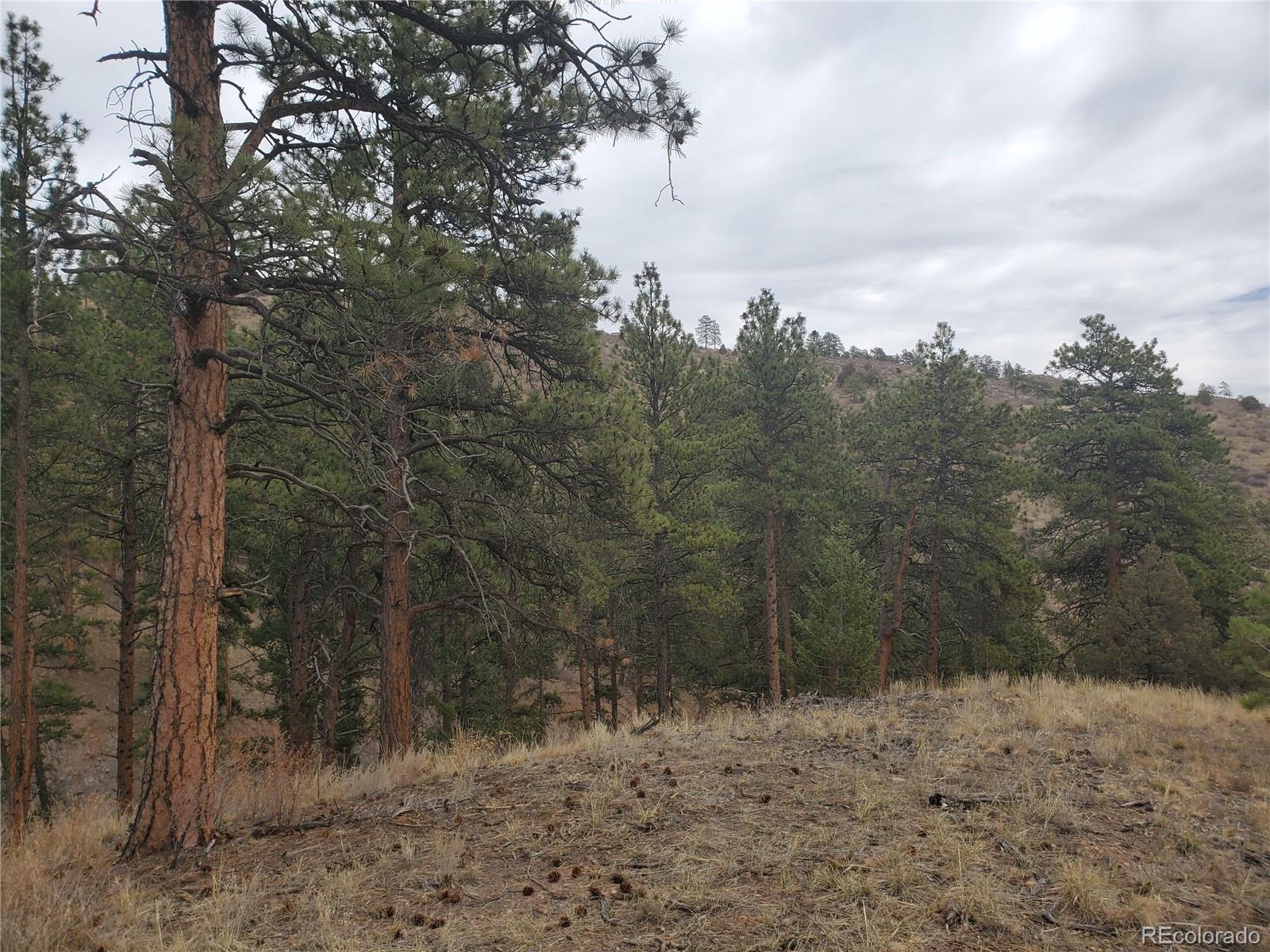6 Turret Peak Road Pine, CO 80470 - Photo 4 of 15