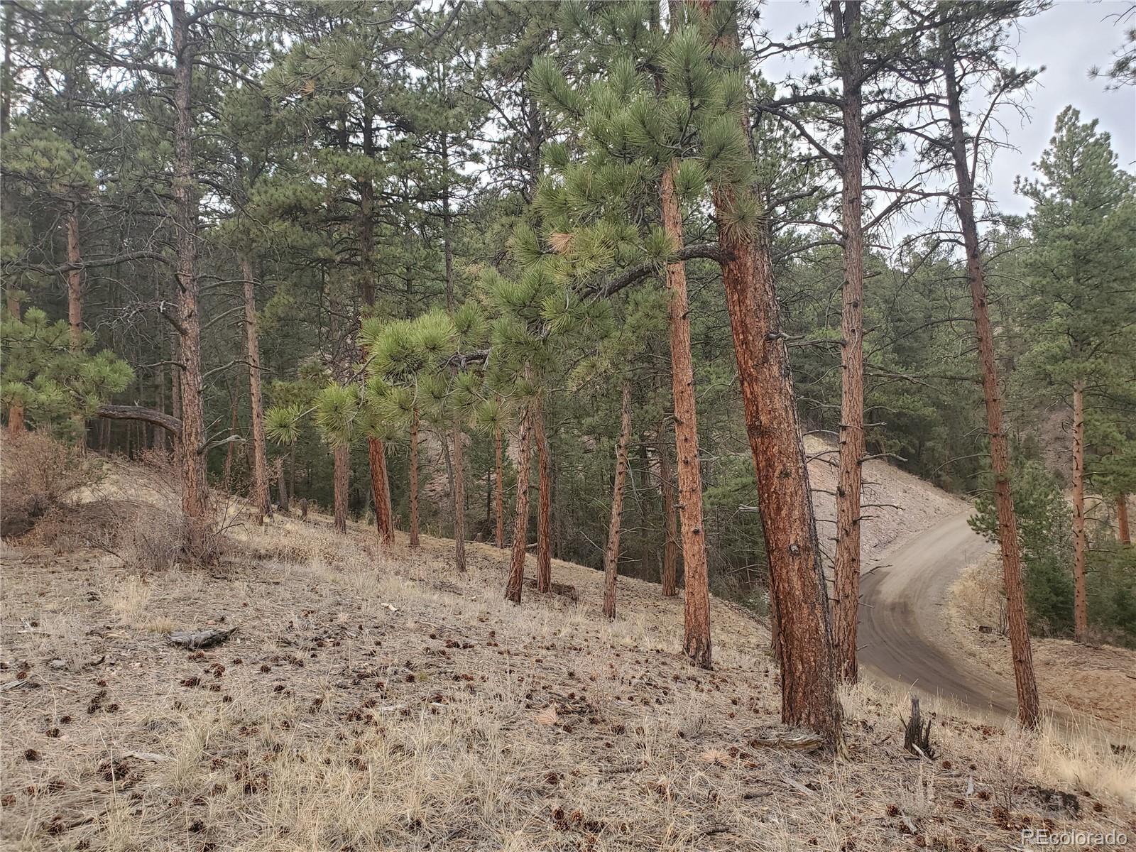 6 Turret Peak Road Pine, CO 80470 - Photo 5 of 15