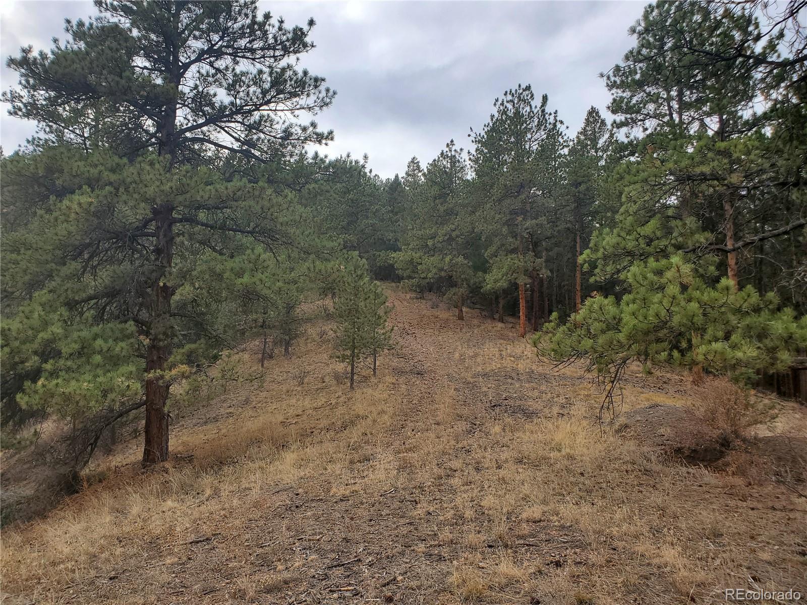 6 Turret Peak Road Pine, CO 80470 - Photo 6 of 15