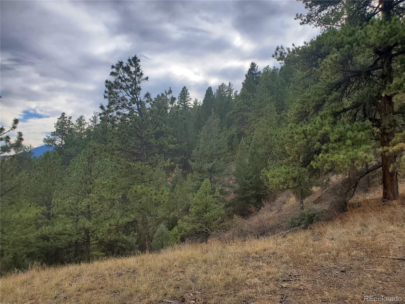 6 Turret Peak Road Pine, CO 80470 - Photo 7 of 15