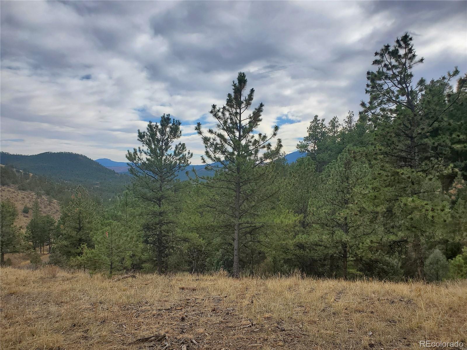 6 Turret Peak Road Pine, CO 80470 - Photo 8 of 15